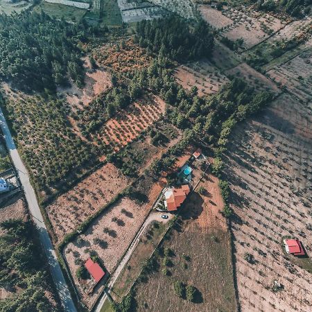 Lugar Dos Vales-Memoravel, Encantador E Autentico! Mirandela Exteriér fotografie